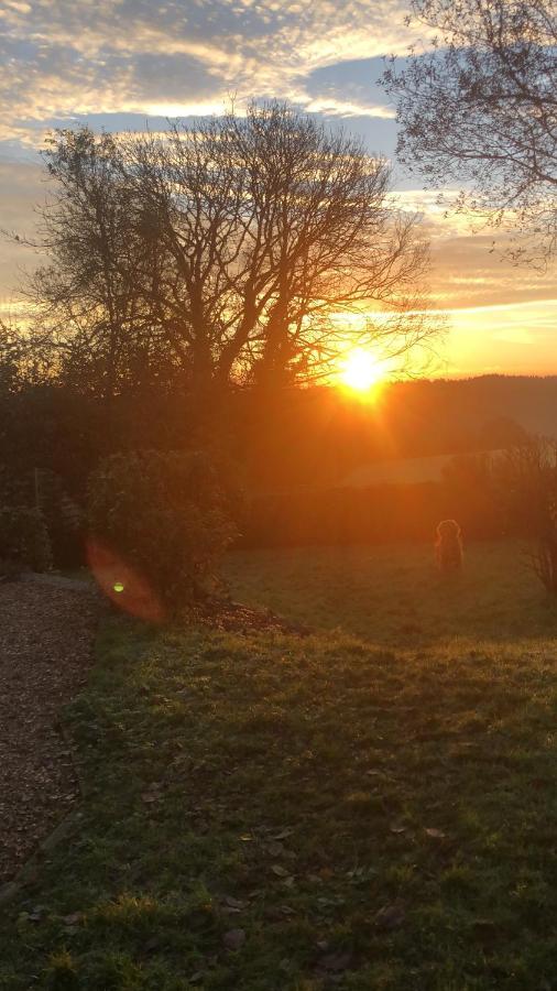 Meadowside Cottage, Characterful Grade 2 Listed Cottage Near To Wadebridge And Padstow Eksteriør bilde